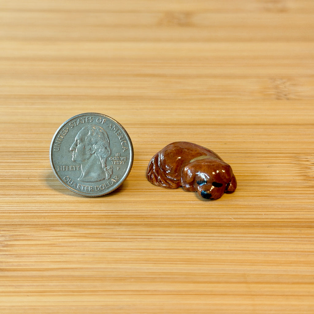 Puppy Petting Stone ~ Chocolate