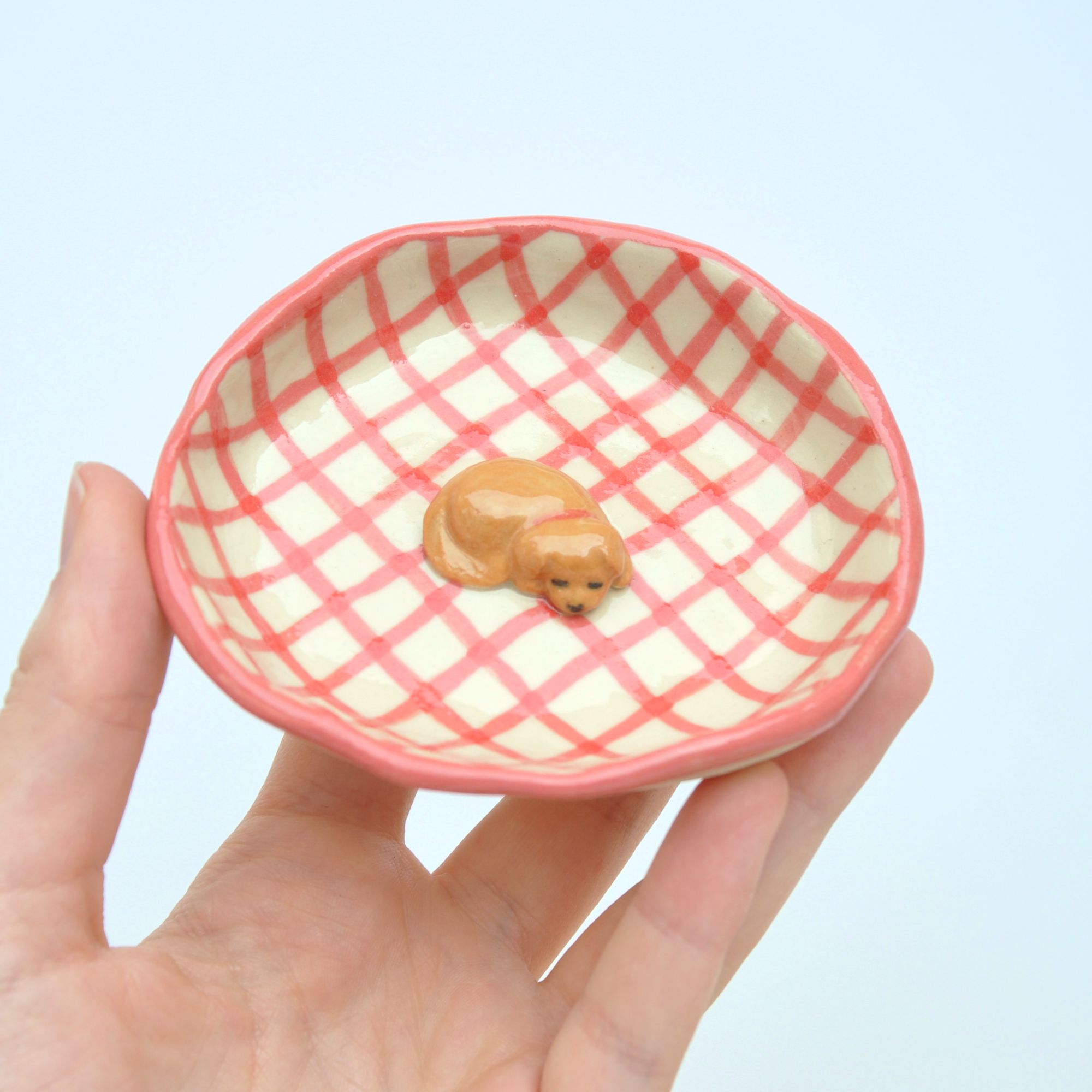 Sleeping Puppy ~ On Plaid Plate