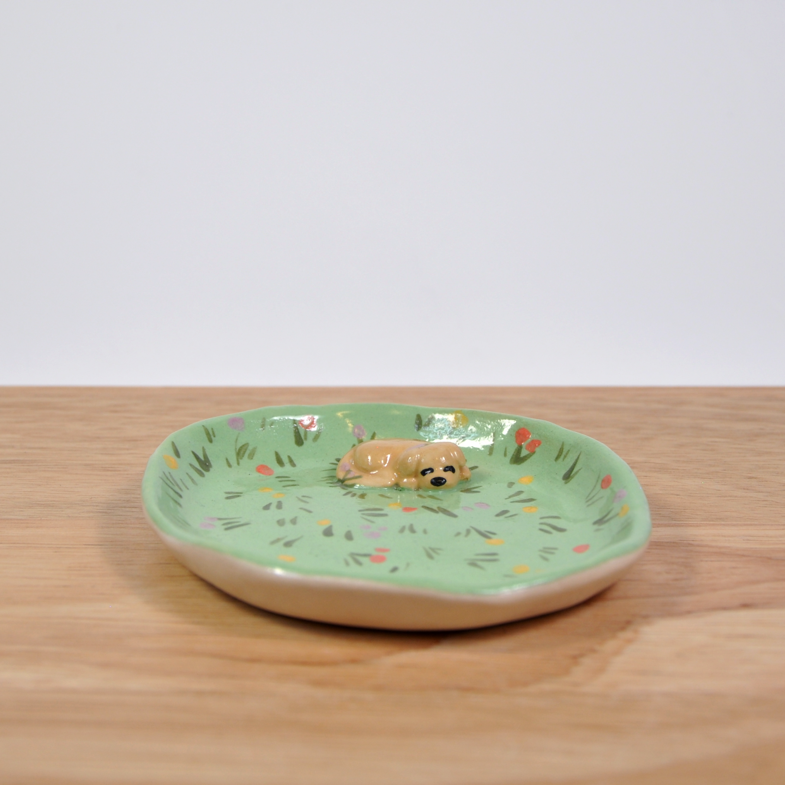 Sleeping Puppy ~ On Grassy Plate