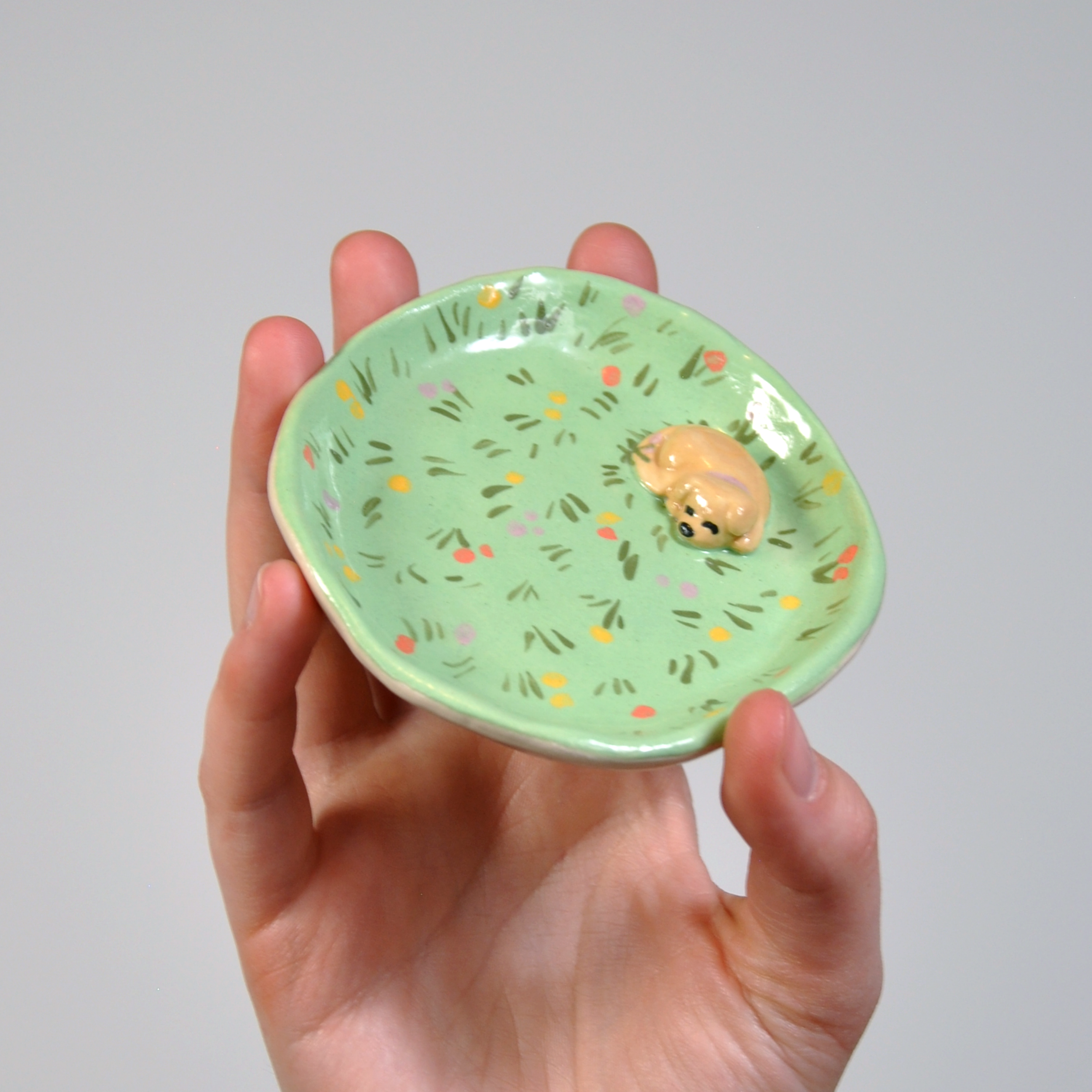 Sleeping Puppy ~ On Grassy Plate